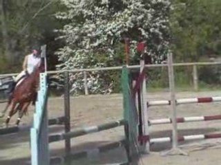 Juliette et idra d'ocagne club1gp 4fers 4mai2008