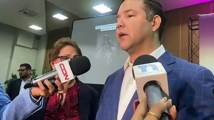 PLD afirma gobierno nunca ha tenido una política real de protección fronteriza; fijará posición oficial en los próximos días