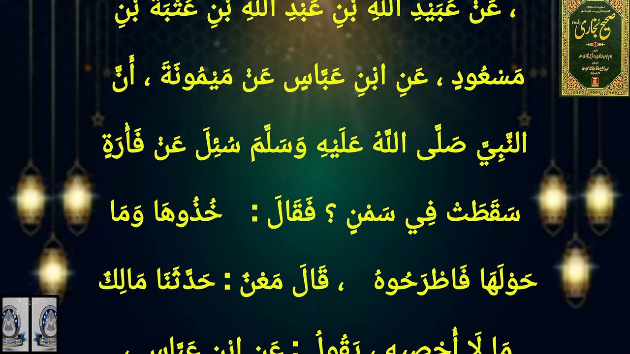 Sahih Bukhari Hadees No 236