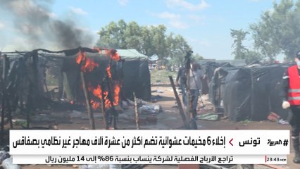 10 آلاف مهاجر غير قانوني يهيمون في غابات الزيتون بتونس.. ما السبب؟