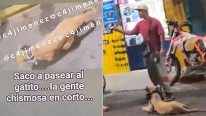 CDMX: León se pasea por Iztapalapa y el dueño se burla: "Les arde que no les alcanza"
