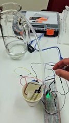 Plant Watering Circuit (First Test)