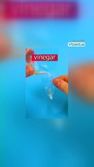 DIY Balloon Pufferfish _ ~ Blowfish