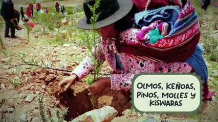 GENERACIÓN ASIA -Asia te recomienda :  VIGILANTES - MY HERO ACADEMIA