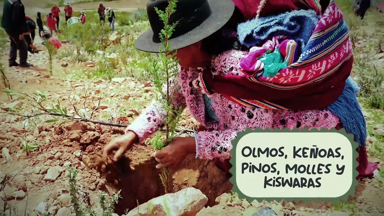 GENERACIÓN ASIA -Asia te recomienda :  VIGILANTES - MY HERO ACADEMIA