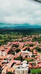 ATB CIENCIA - Un estudio revela que los chimpancés consumen frutas que contienen alcohol