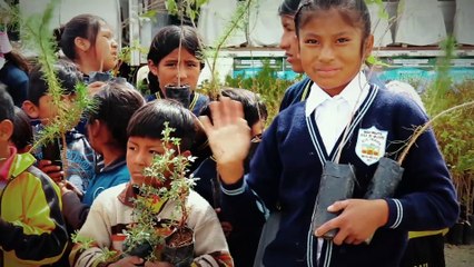 TERRITORIO GEEK   - CHECK POINT, El ladrón de perros