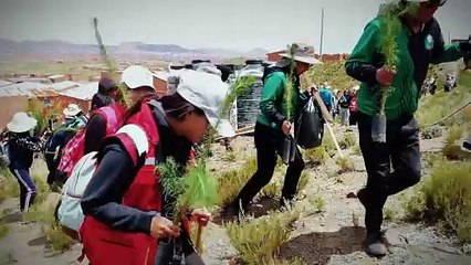 TERRITORIO GEEK   - GAMER ZONE : Videojuego Steel Seed