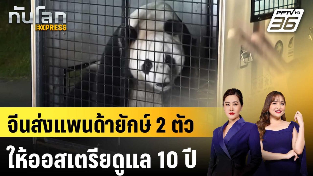 จีนส่งแพนด้ายักษ์ 2 ตัวให้ออสเตรียดูแล 10 ปี | ทันโลก EXPRESS | 25 เม.ย. 68