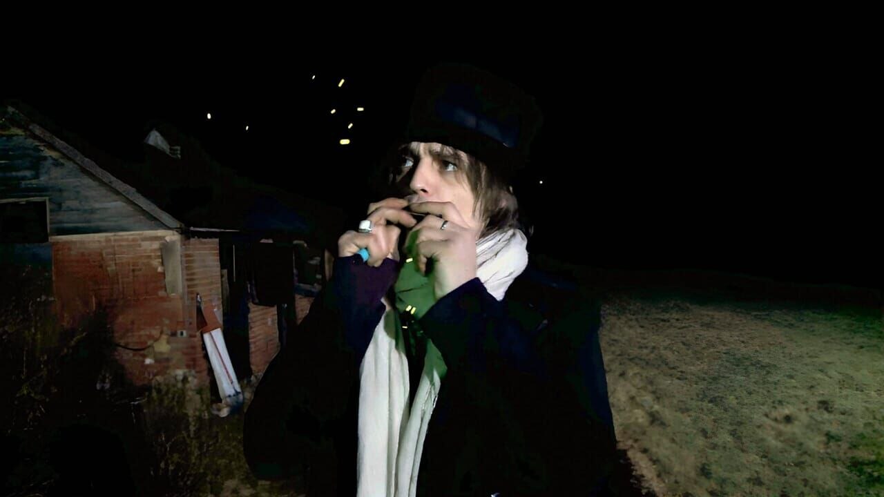 Peter Doherty : Stranger in My Own Skin