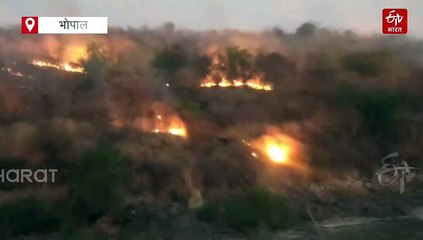 जहां टाइगर्स का मूवमेंट, वहां आग से धधक उठा जंगल, वाल्मी पहाड़ी पर पेड़ जलकर खाक