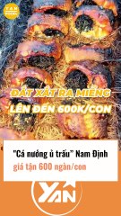 Cá nướng ủ trấu Nam Định