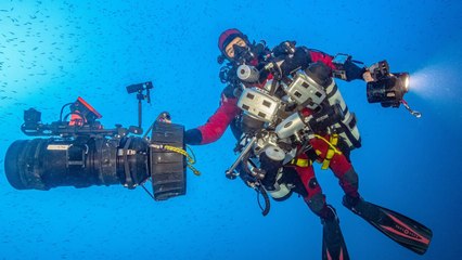 Découvrez la Beauté de la Méditerranée 🌊 - Bande Annonce du Documentaire
