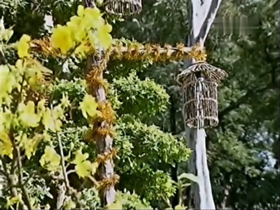 Những Ca Khúc Tết Sôi Động 3 (2010) - Quang Hà, Mắt Ngọc
