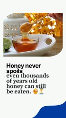 3 Unbelievable Facts You’ve Probably Never Heard! | Honey, Elephants & Breath-Holding World Record 🧠🌍