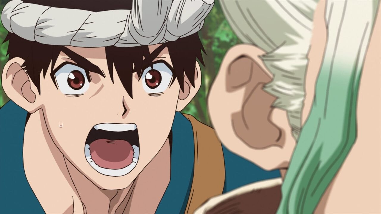 Dr. Stone
