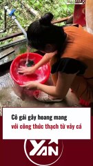 Công thức làm rau câu từ vảy cá