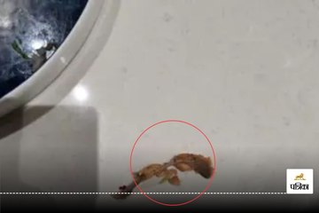 वेज खाने में मिली हड्डी