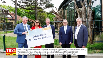 Wien Energie schließt Tiergarten Schönbrunn an Fernwärme an