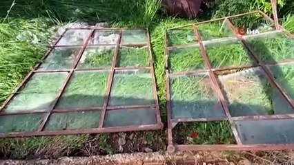 Yıldırım düşmesi sonucu yanan ağacı da yine dolu yağışı söndürdü