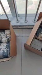 **🎉 Another Smooth Delivery to Our Trusted German Partner! 🎉**