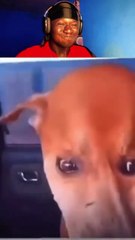 Try Not To Laugh 😂🤣 challenge part 41 | Hilarious Moments That Will Have You Cracking Up! 😆