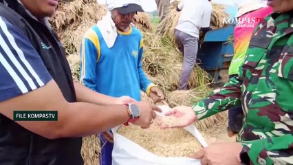 Hoax Video Proses  Pembuatan Beras Plastik | NEWS OR HOAX
