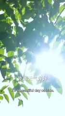 A Visitor in Your Life: A Heartwarming Chinese Drama You Can't Miss 🎥