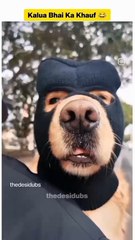 kalua bhai ka khauf| Bhalu bna diya