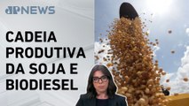 Mariana Grilli: Quebra da safra de soja impacta participação no PIB