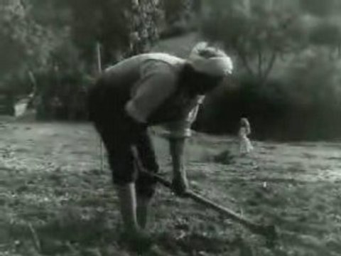 Algérie 8 mai 1945 Sétif Guelma Kherrata