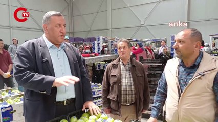 Ömer Fethi Gürer'den 'zirai don' açıklaması: 'Sert çekirdekli ürünlerde zarar büyük'