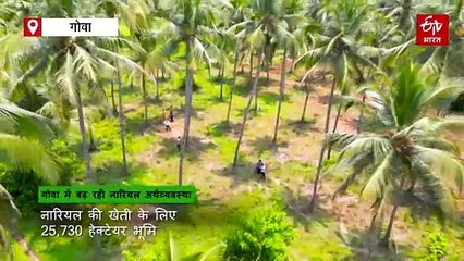 गोवा में नारियल की पारंपरिक खेती को अब बनाया जा रहा आधुनिक, राज्य सरकार ने शुरू किया 'फ्रैंड्स ऑफ कोकोनट ट्री' अभियान