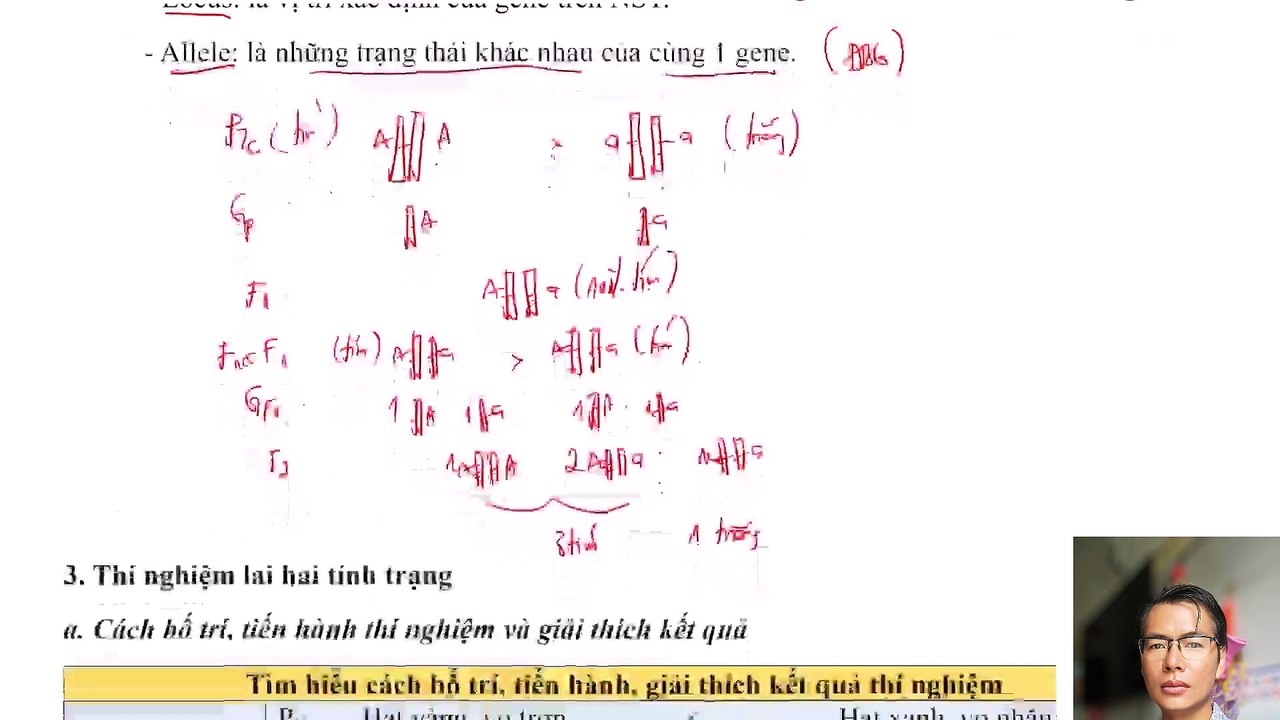 Sinh 12 - Chuyên đề Học thuyết di truyền Mendel - Lý thuyết