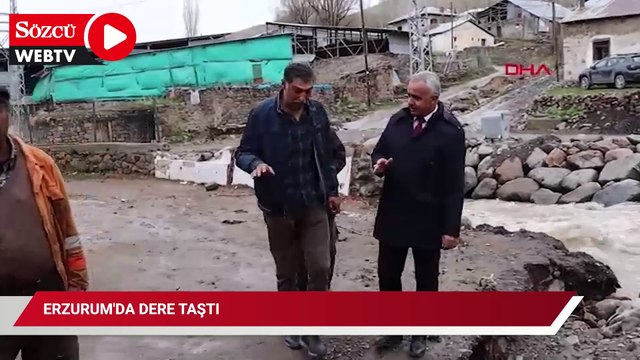 Erzurum'da dere taştı