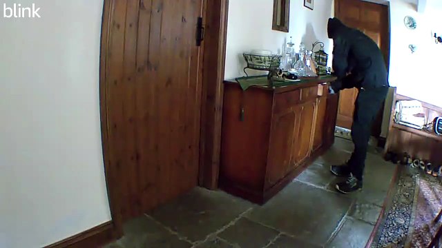 A shoplifter and burglar caught on camera has been jailed for seven months