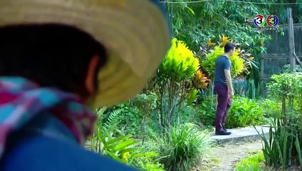 Tình yêu duy nhất - Tập 22