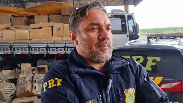 PRF dá detalhes de apreensão de 19.200 cigarros eletrônicos na BR-277 em Cascavel