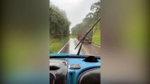 Câmera registra o momento que motorista evita tragédia no Paraná