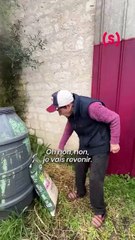 SIMONE - REPORTAGE : La ferme Notre Dame, une ferme 100% féminine