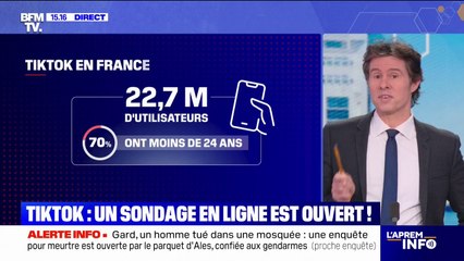 TikTok: un questionnaire accessible à tous et anonyme sur le site de l'Assemblée nationale