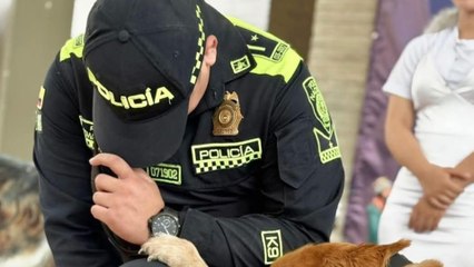Nuevo ataque armado contra estación de Policía deja dos uniformados muertos, ahora en Bolívar