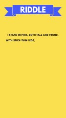 Riddles with Answers | Riddles for Kids