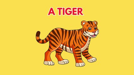 Riddles with Answers | Riddles for Kids | #SimplyRiddles