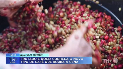Você sabia que o café pode ter o sabor alterado durante o processo de fermentação? A série especial do TH+ Notícias mostra como funciona