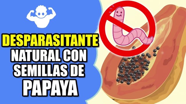 Desparasitante casero con semillas de PAPAYA, muy importante