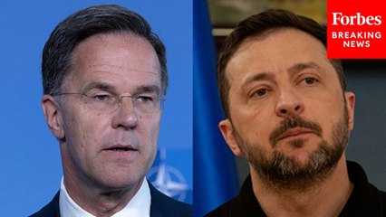 NATO Sec-Gen Asked: Did You Urge US Officials Not To Pressure Ukraine Into Accepting The Peace Deal?