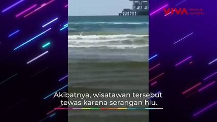 DETIK-DETIK Wisatawan Israel Diserang Hiu