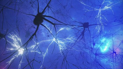 Uno studio svela l'attività cerebrale responsabile della memoria