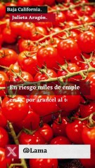 En riesgo miles de empleos en BC por arancel al tomate.